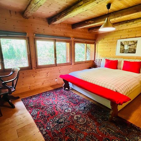 Aparthotel Mountain River Resort ヴァル＝ディリエ エクステリア 写真